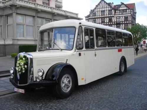 witte bus